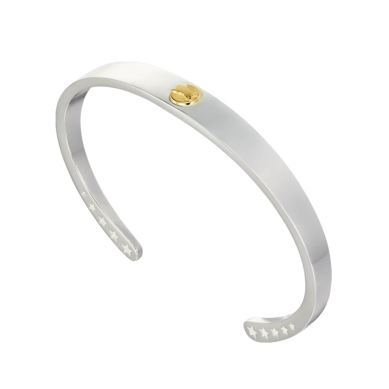 バングル | スターリングシルバー | コレクション | IL BISONTE