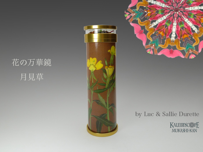 万華鏡：ドライ]花の万華鏡・月見草：ルーク＆サリー・デュレット[送料
