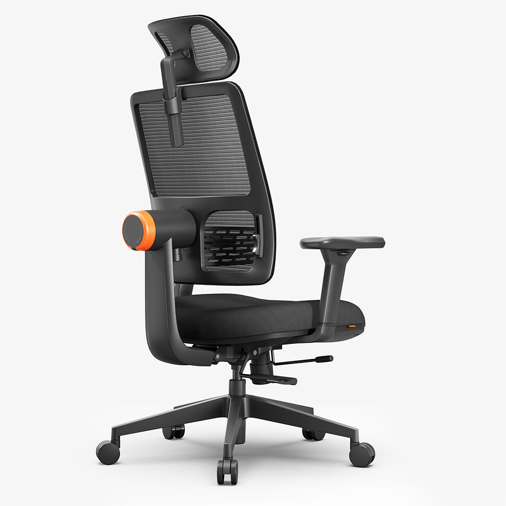 Newtral | Ergonomic Office Chair with Neck and Back Support