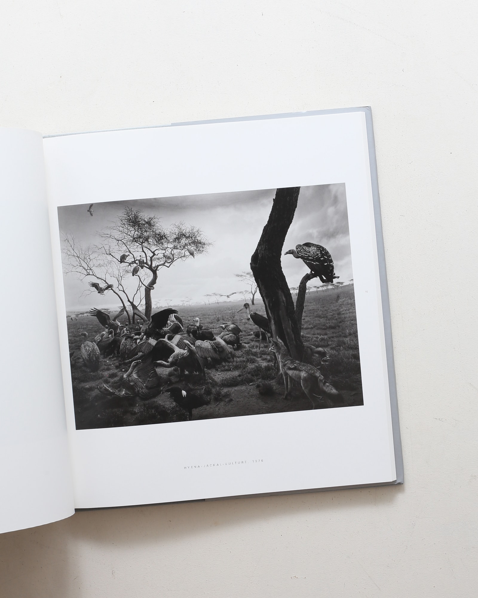 Dioramas | Hiroshi Sugimoto | nostos books ノストスブックス