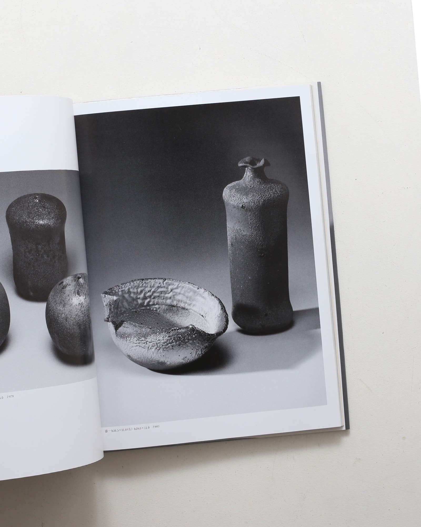 陶 長倉翠子 | nostos books ノストスブックス