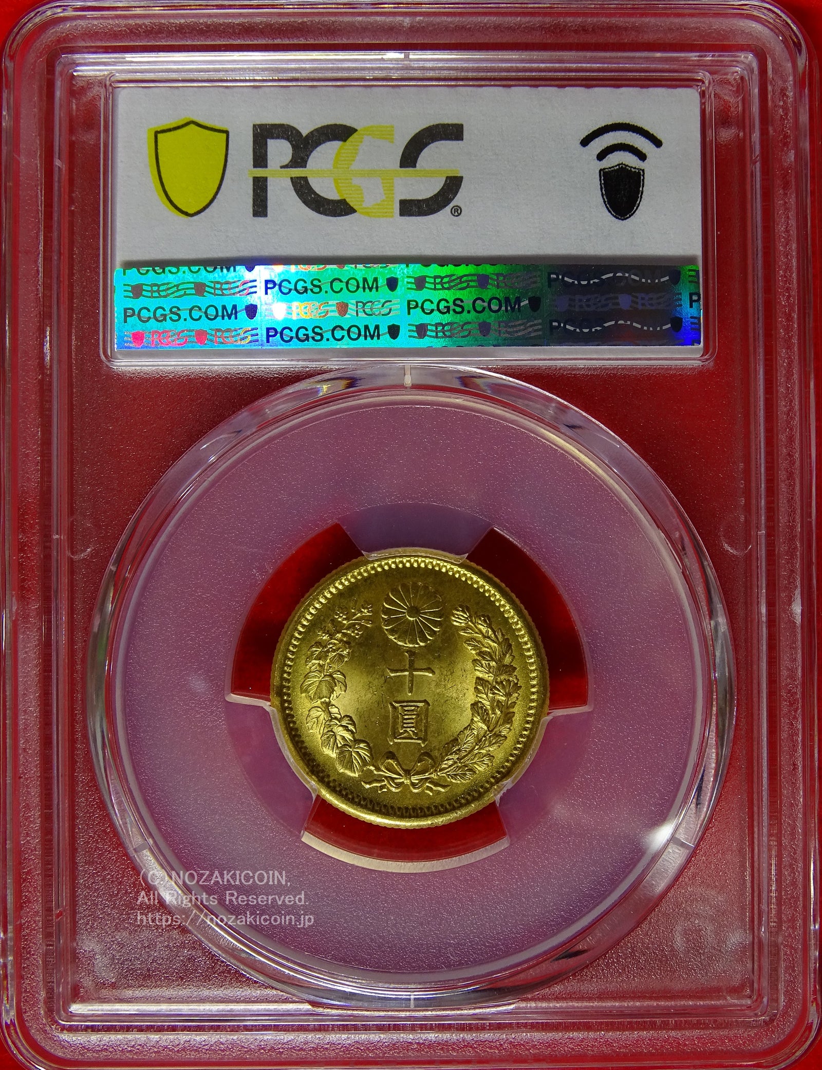 DSC00104_1600x.jpg?v=1732865762