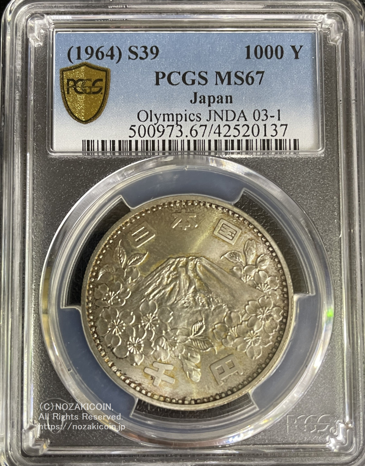 IMG_5743_1200x.jpg?v=1700651377