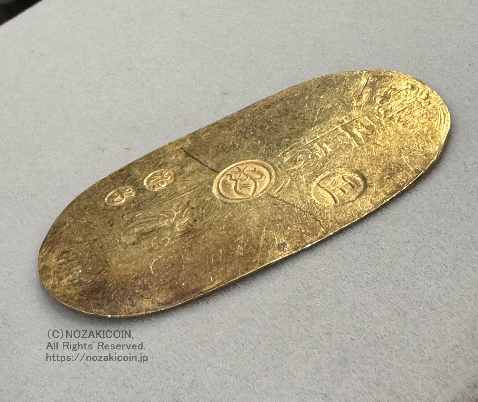 IMG_8852_1600x.jpg?v=1725005050