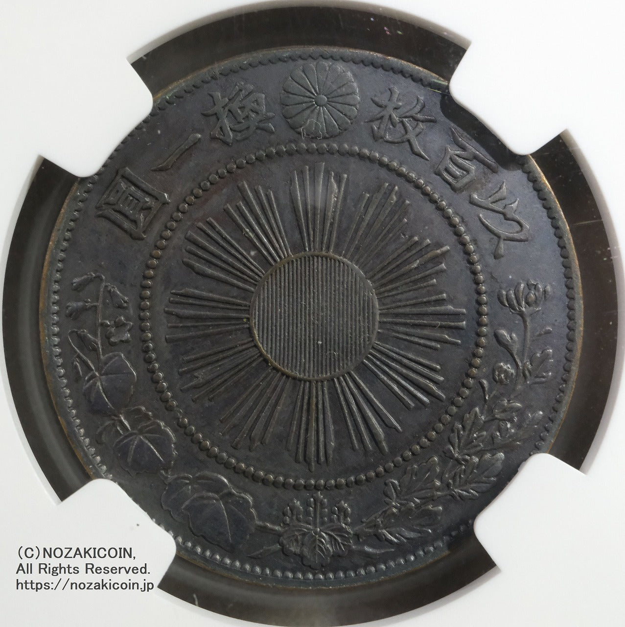 s-DSCF0404.jpg?v=1743240710