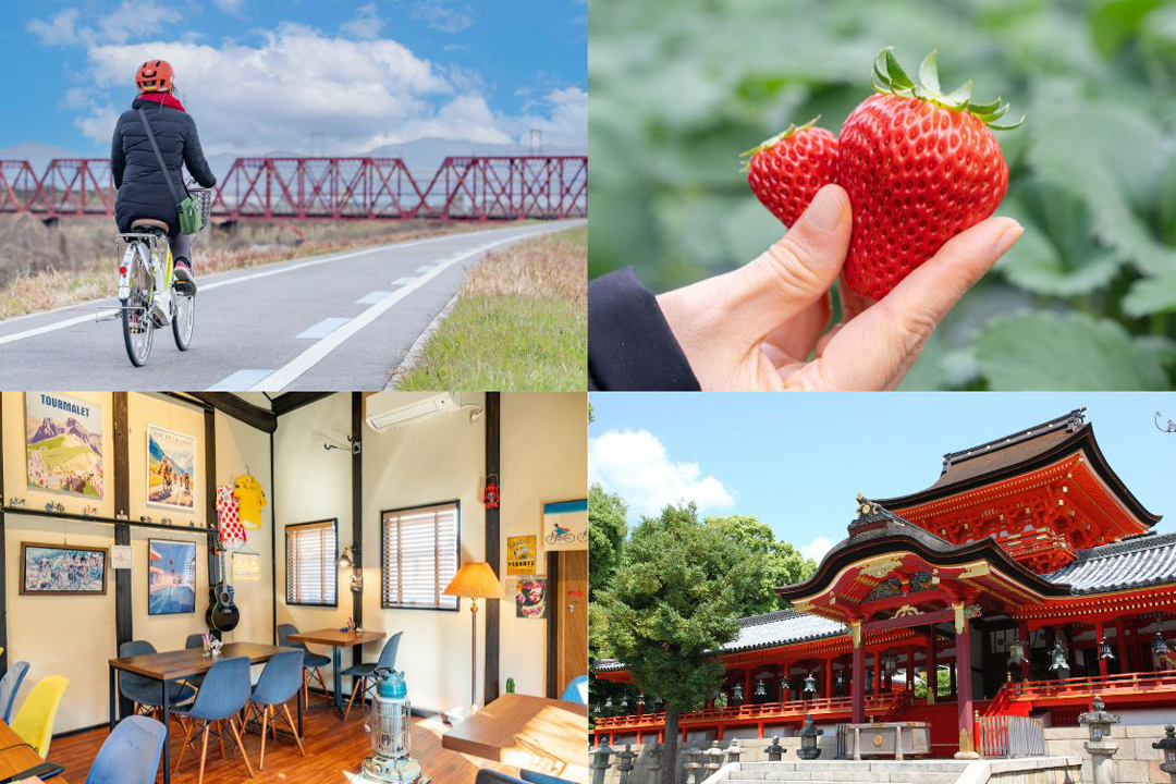 八幡市】いちご狩りも楽しい季節！サイクリングでまちを巡ろう｜ブログ