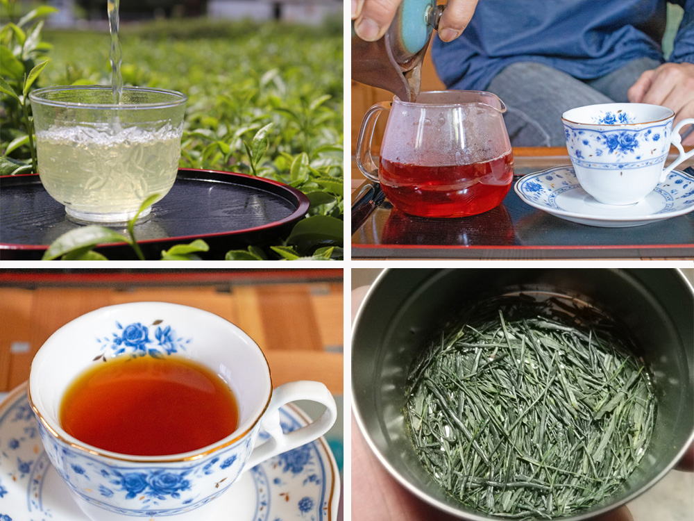 誰もが扱えぬ茶、誰もが癒される味──静香農園と高級茶の再発見【静岡