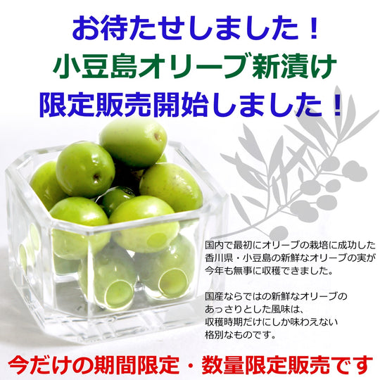 317-a_1_540x.jpg?v=1726558452