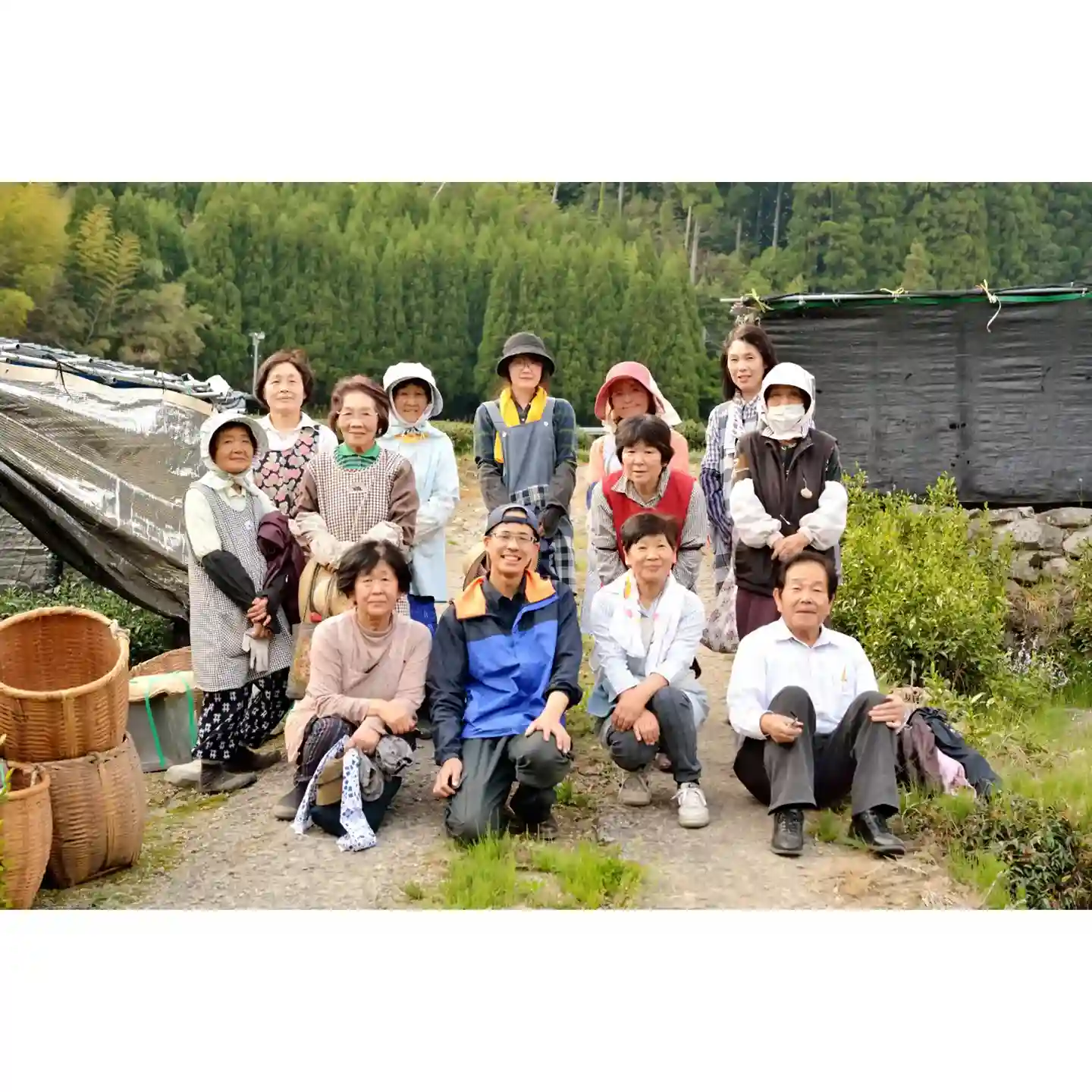 星野製茶園 | スモールビジネスのための問屋サービス orderie (オーダリー)