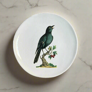 Astier de Villatte x John Derian Blue Sparrow Plate – PATCH NYC
