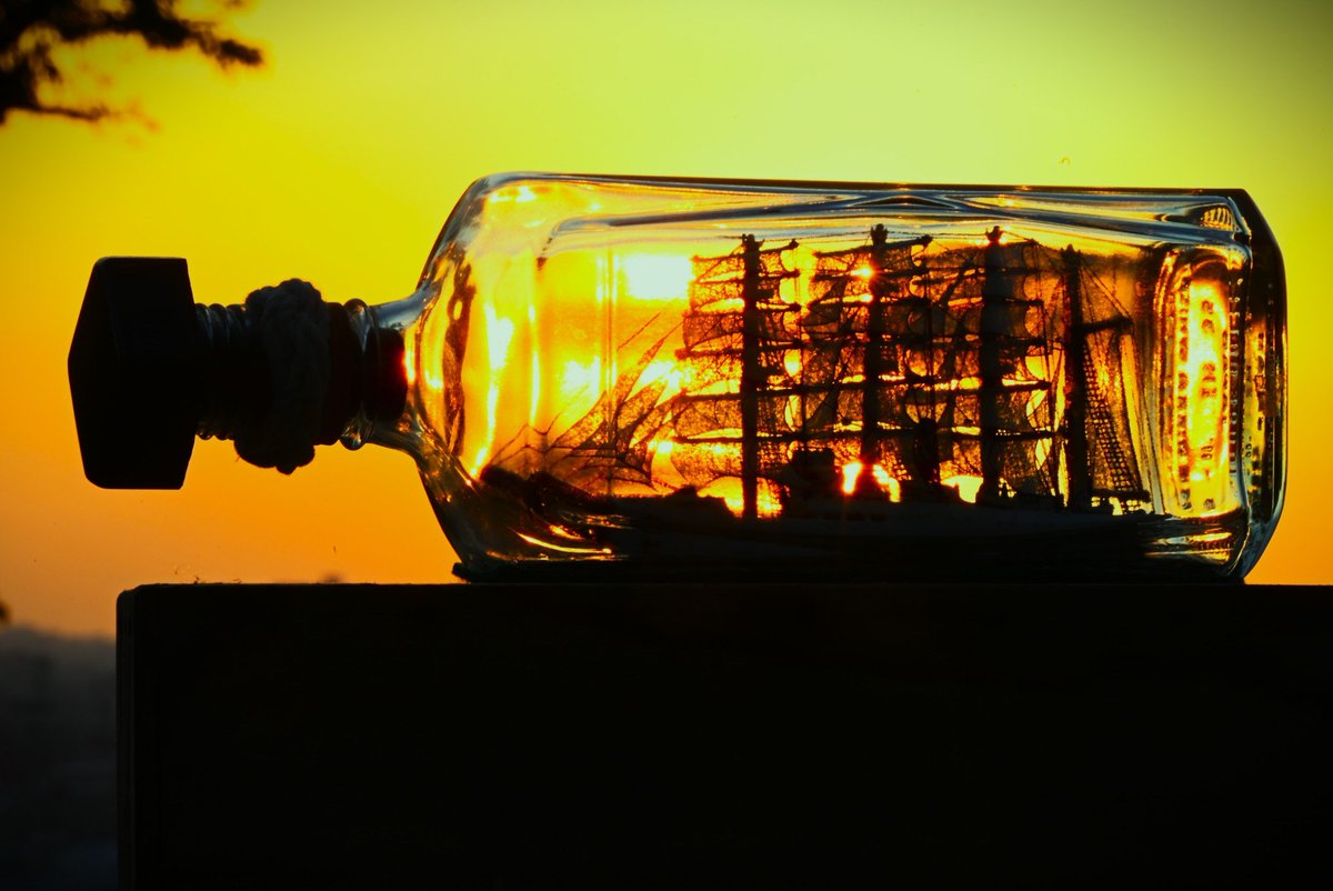 ほっしぃ (@9aaf73d7abfd4b4) / Posts / X