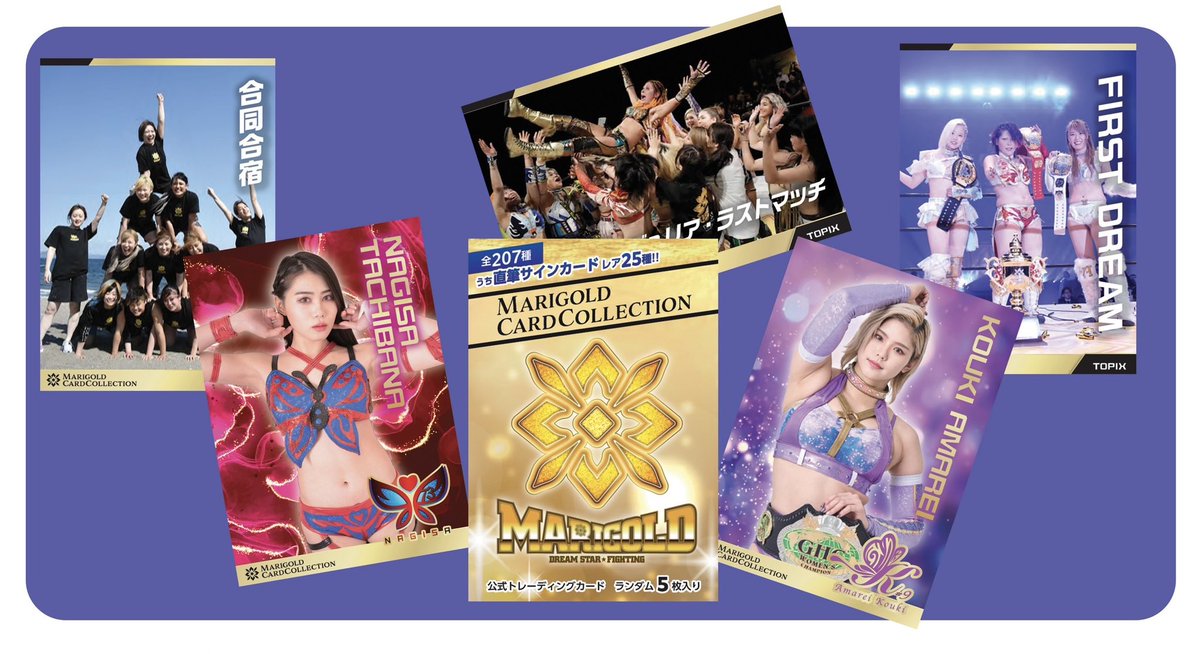 🟨プロレスカード再入荷！ 売り切れになっていましたマリーゴールドの
