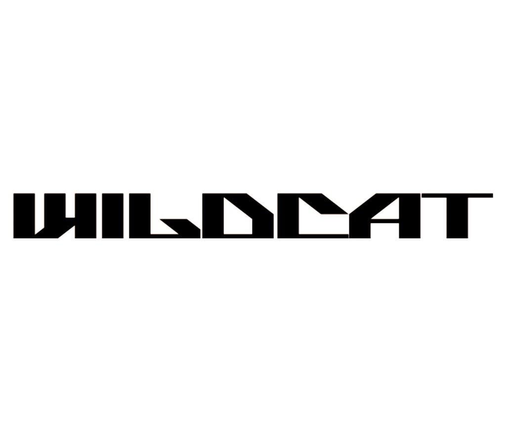Wildcat #Infinity #プログラムカード #SYSTEMA #PTW ⭐️Infinityを