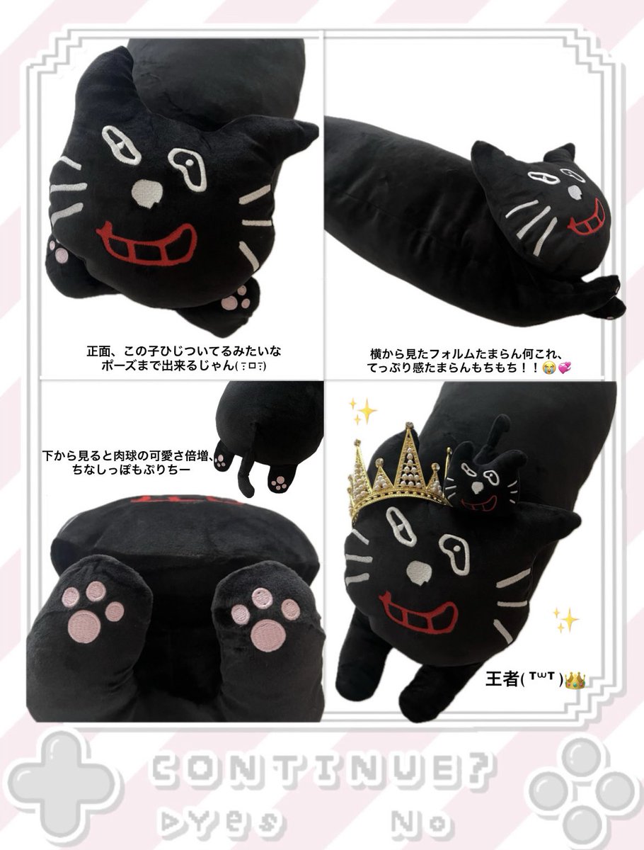 正面でみても 横からみても 下からみても 可愛いキヨ猫ロング