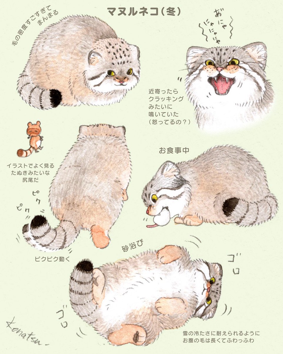 こなつ (@konatsu_tunacan) / Posts / X