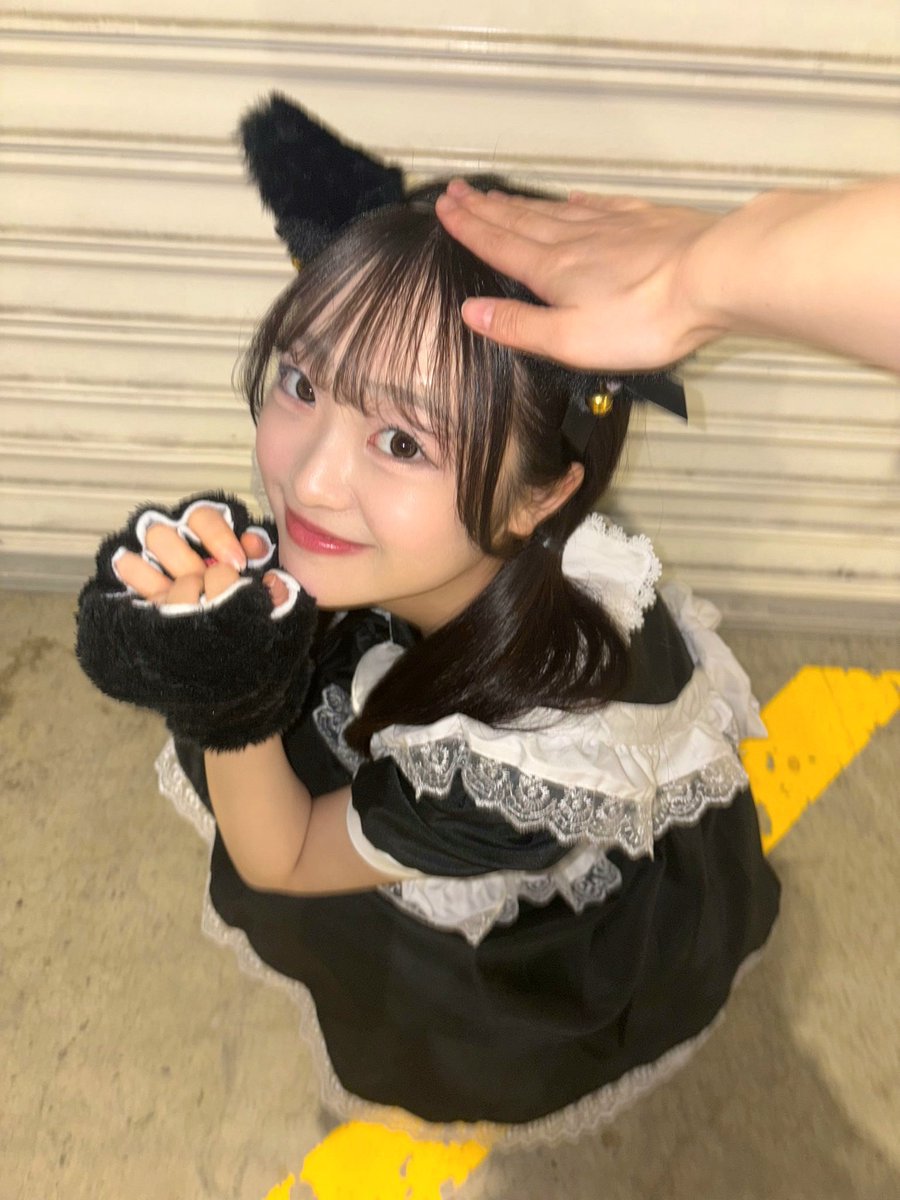 せしる (@Cecil_sei) / Posts / X