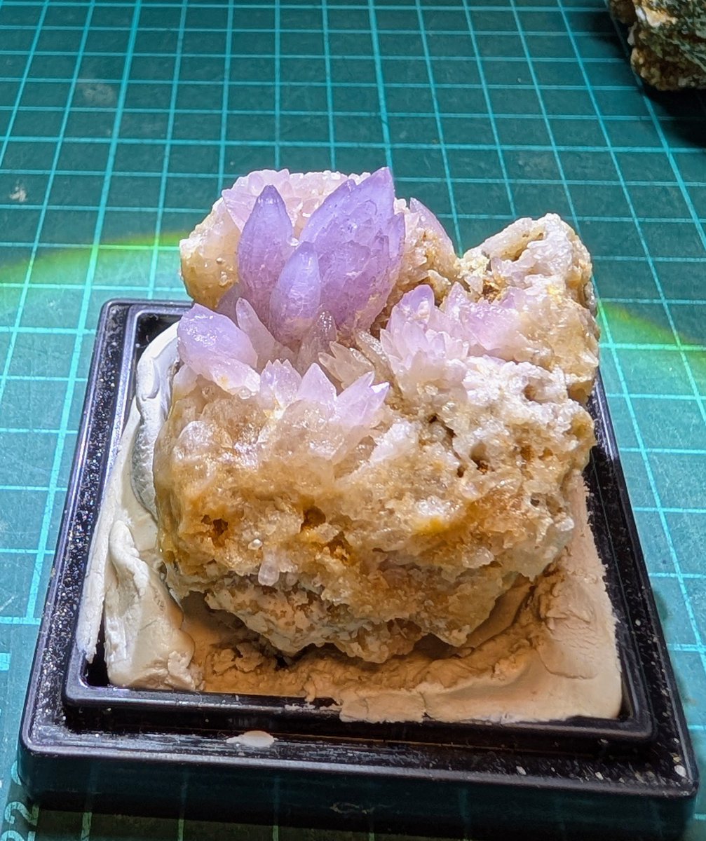 2月最後ですから紫水晶を。購入品の富井鉱山、紫水晶クラスターです