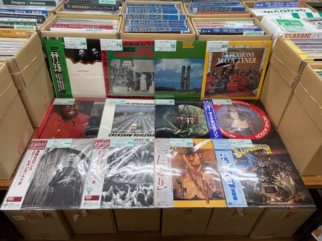 3/7(土) 新入荷情報♪レギュラーLP①】 ロックポップス55枚、パンク