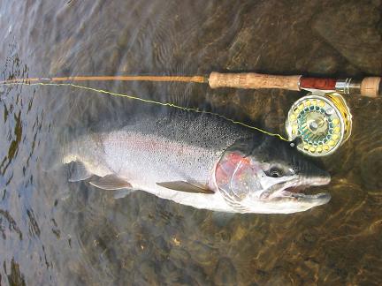 クレオール ロッド フライフィッシング 8'2/