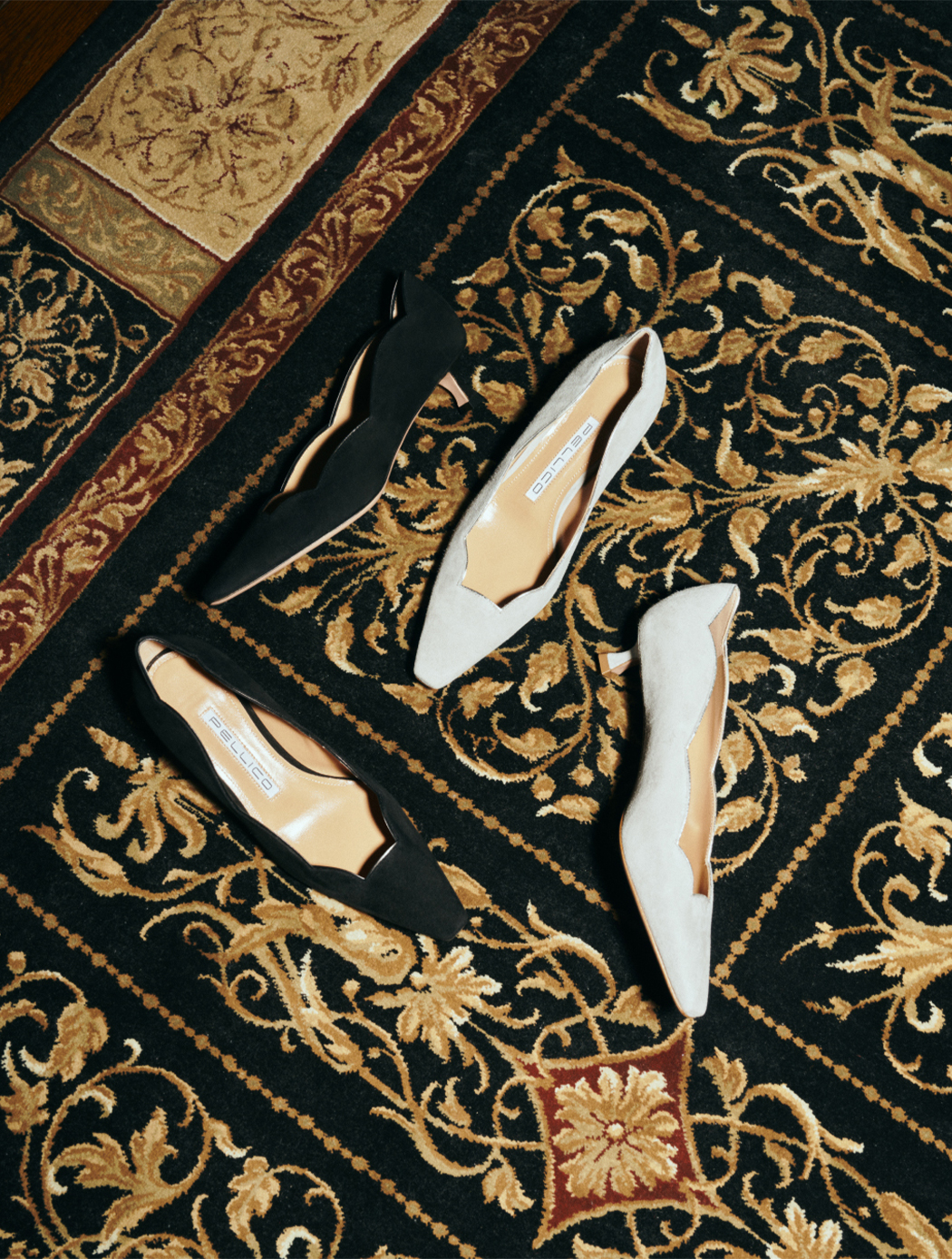 Scallop Suede Pumps | PELLICO｜ペリーコ
