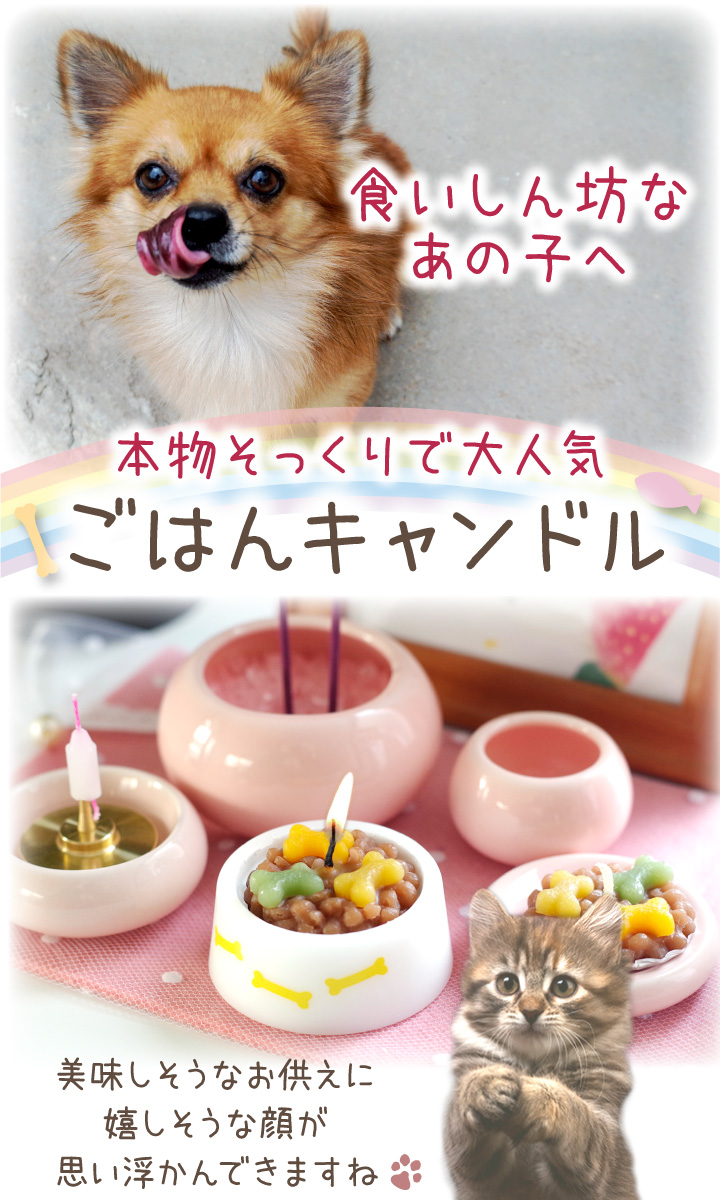 ペット ごはんキャンドル わんちゃん ねこちゃん 本物そっくり カメヤマ