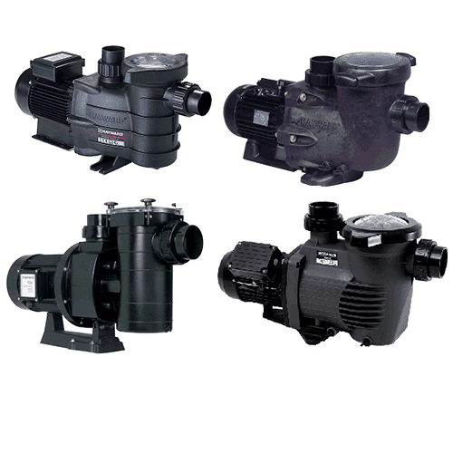 離乳食とお気に入り: 花が咲くまで