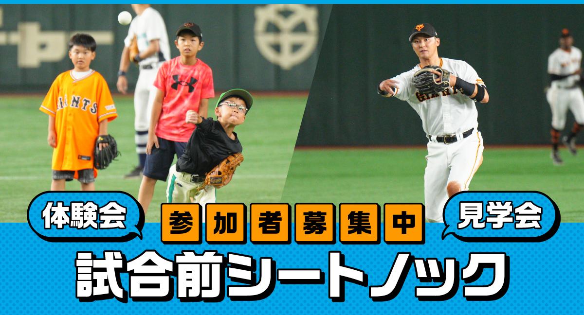 KIDS MEMBER限定 「試合前シートノック体験会・見学会」参加者募集（8