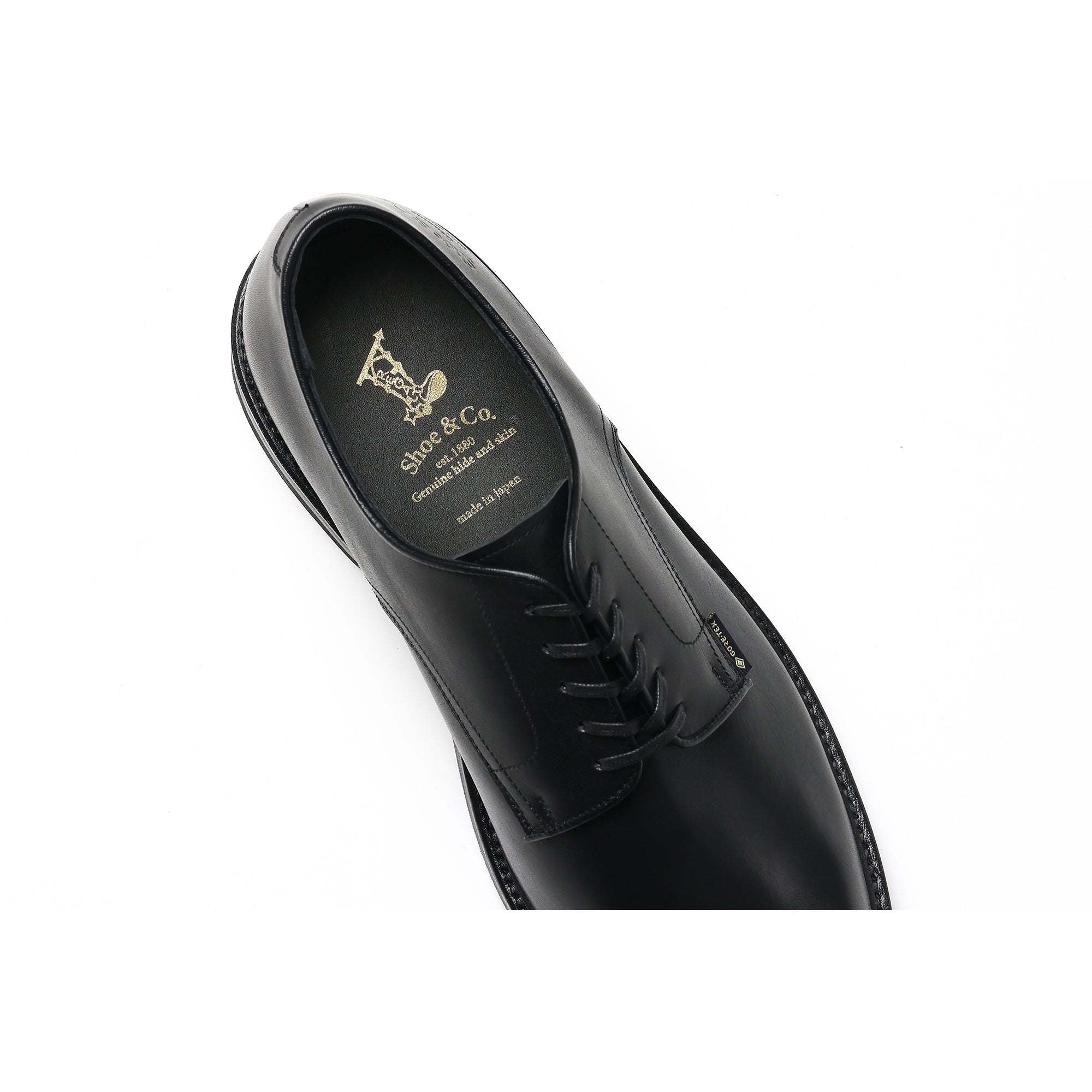 Plain-Toe GTX_Black – REGAL Shoe & Co.