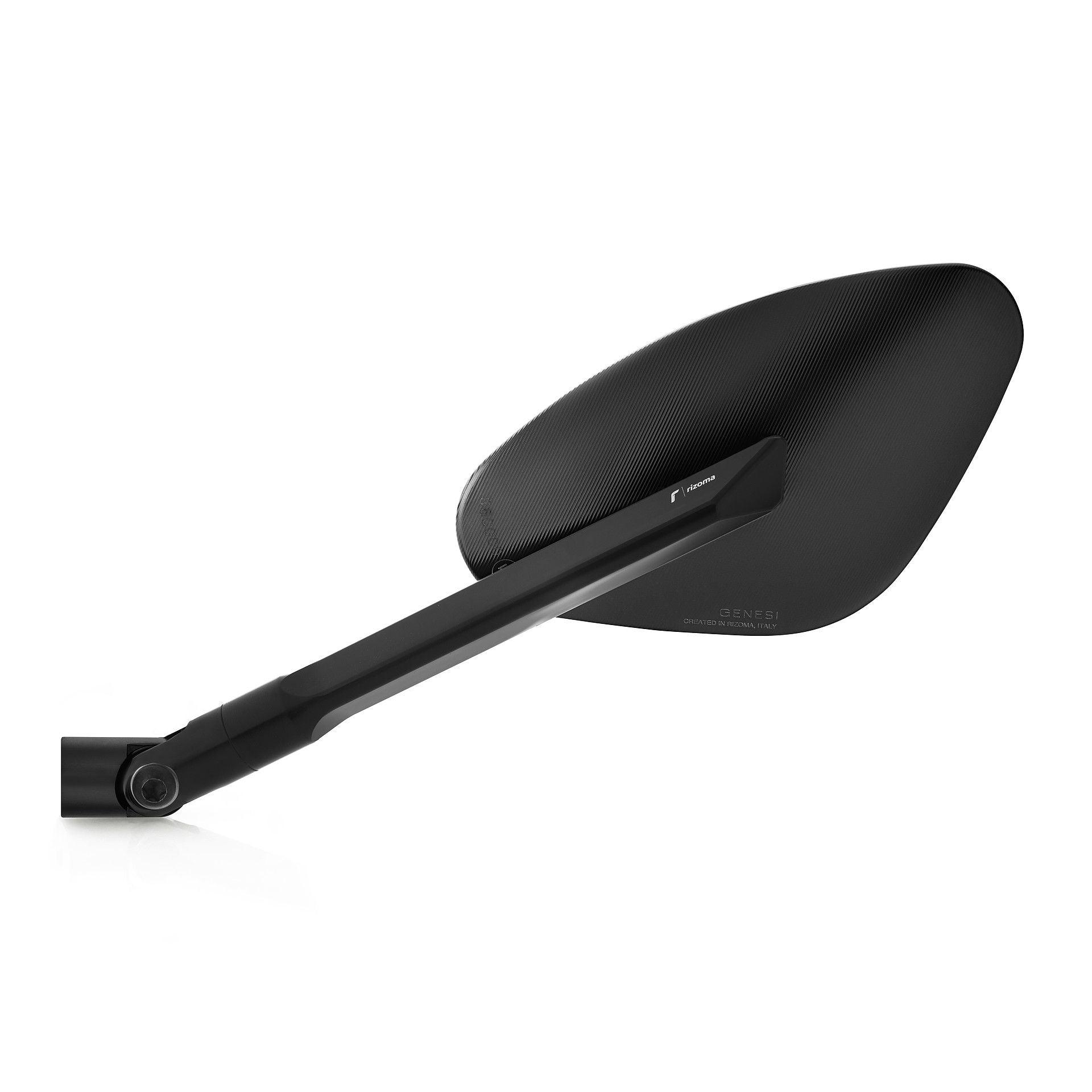 Genesi : BS173 / BS174 – rizoma Japan