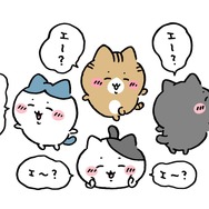 ちいかわ」“エ～？”な笑顔が可愛い！「ハチワレとごきげんななかま