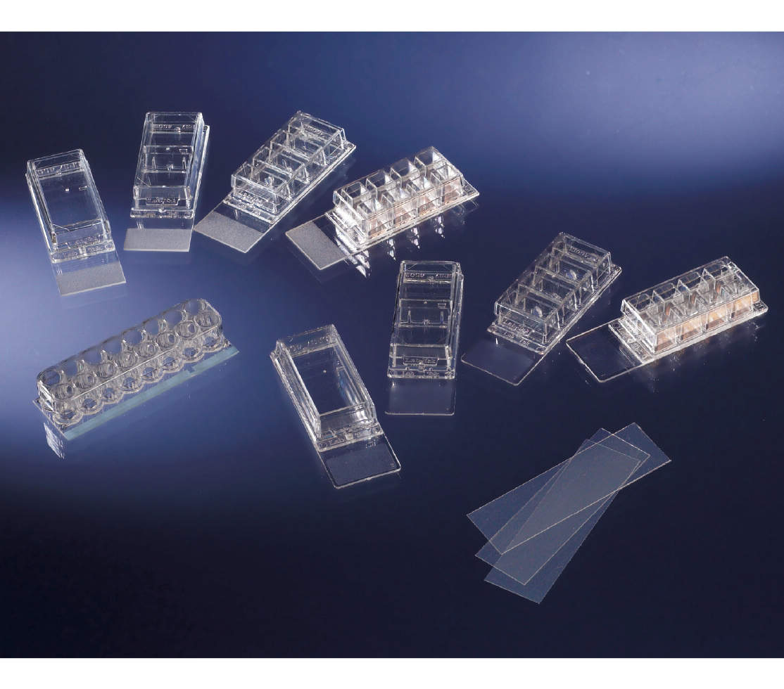 ヌンク №178599 16入 チェンバースライドシステム｜総合的