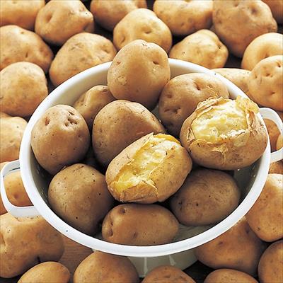 ジャガイモ 男爵薯 タネイモ｜種（タネ）,球根,苗,資材,ガーデニング