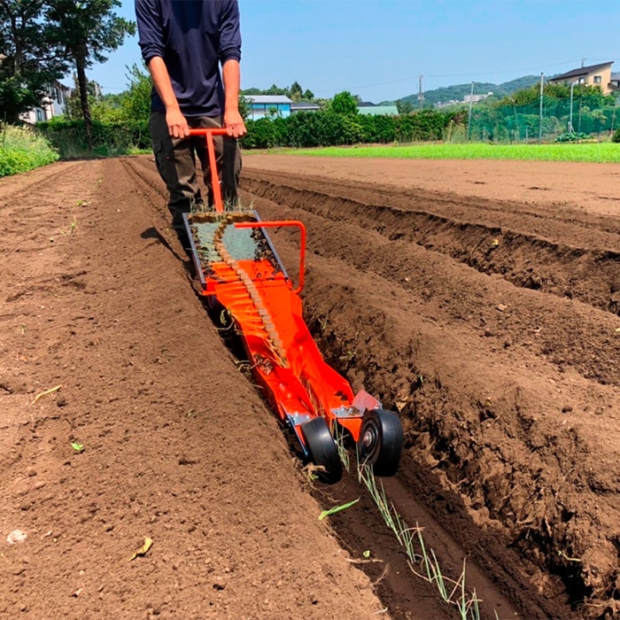 チェーンポット CP-303 264穴｜種（タネ）,球根,苗,資材,ガーデニング