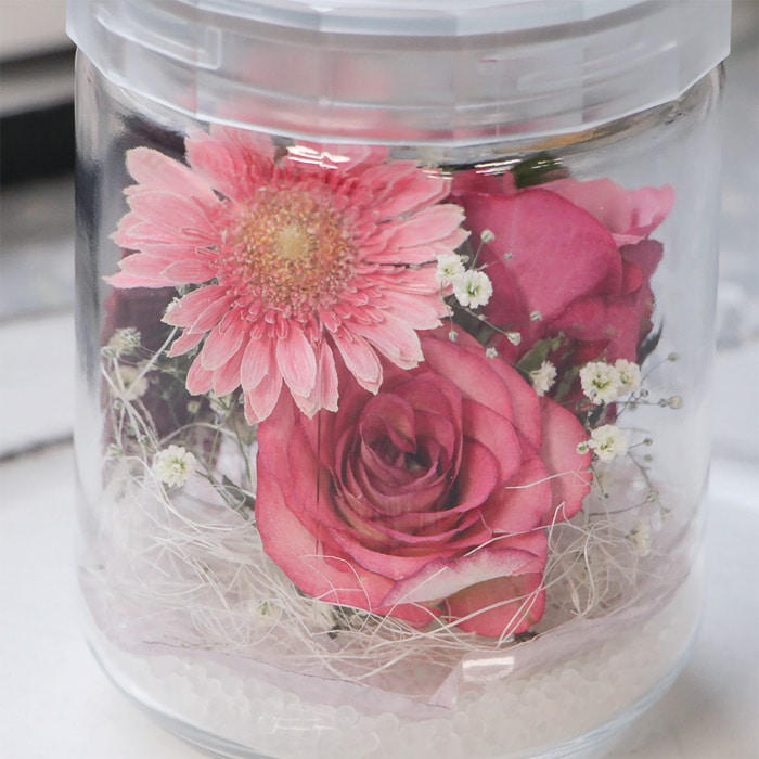 とても綺麗に保存できるドライフラワーのためのシリカゲル｜種（タネ