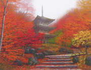 清水規 | ｜正光画廊