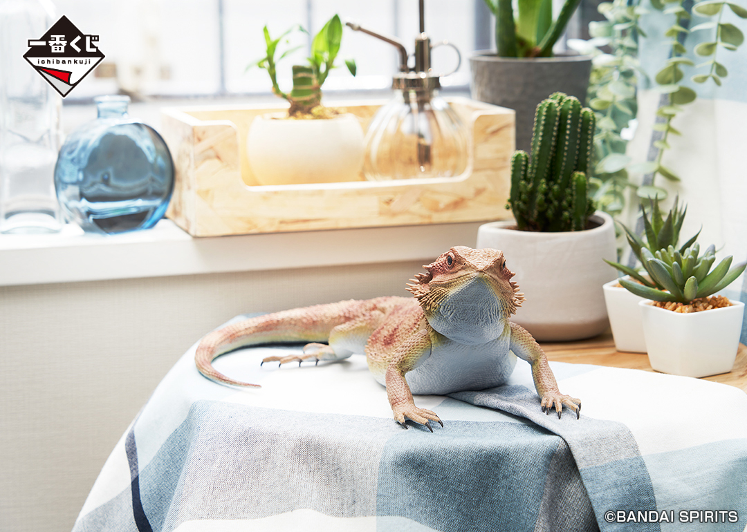 一番くじ 爬虫類＆両生類～Tiny Friends～｜一番くじ倶楽部｜BANDAI