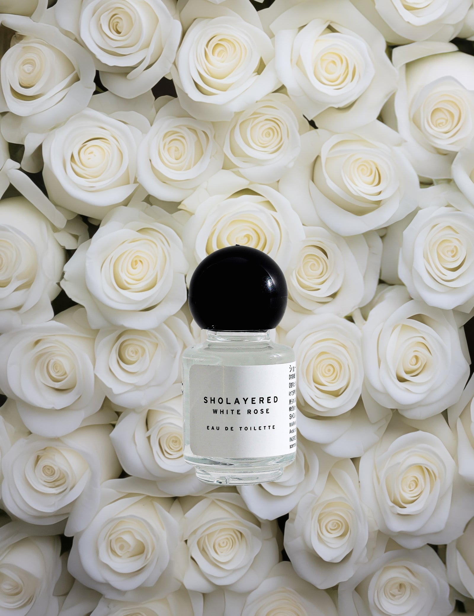 EDT5ml_WR_0_1600x.jpg?v=1718764833