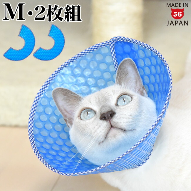 楽天市場】猫用エリザベスカラー ハードタイプ Mサイズ ゴロにゃん