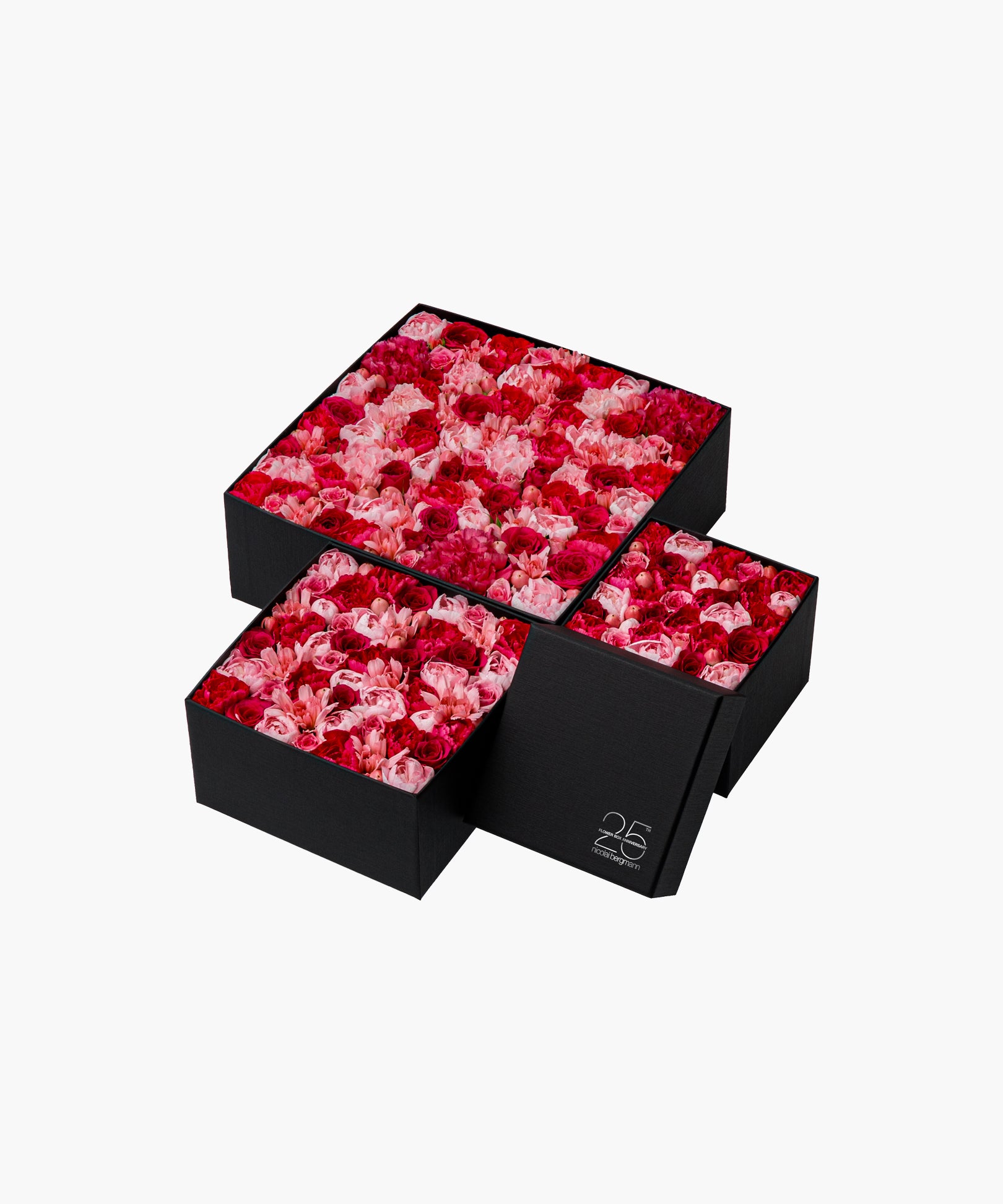 Yellow Breeze (イエロー ブリーズ)