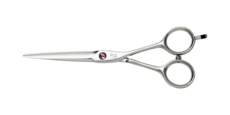 5S COSMOS – HIKARI Corporation