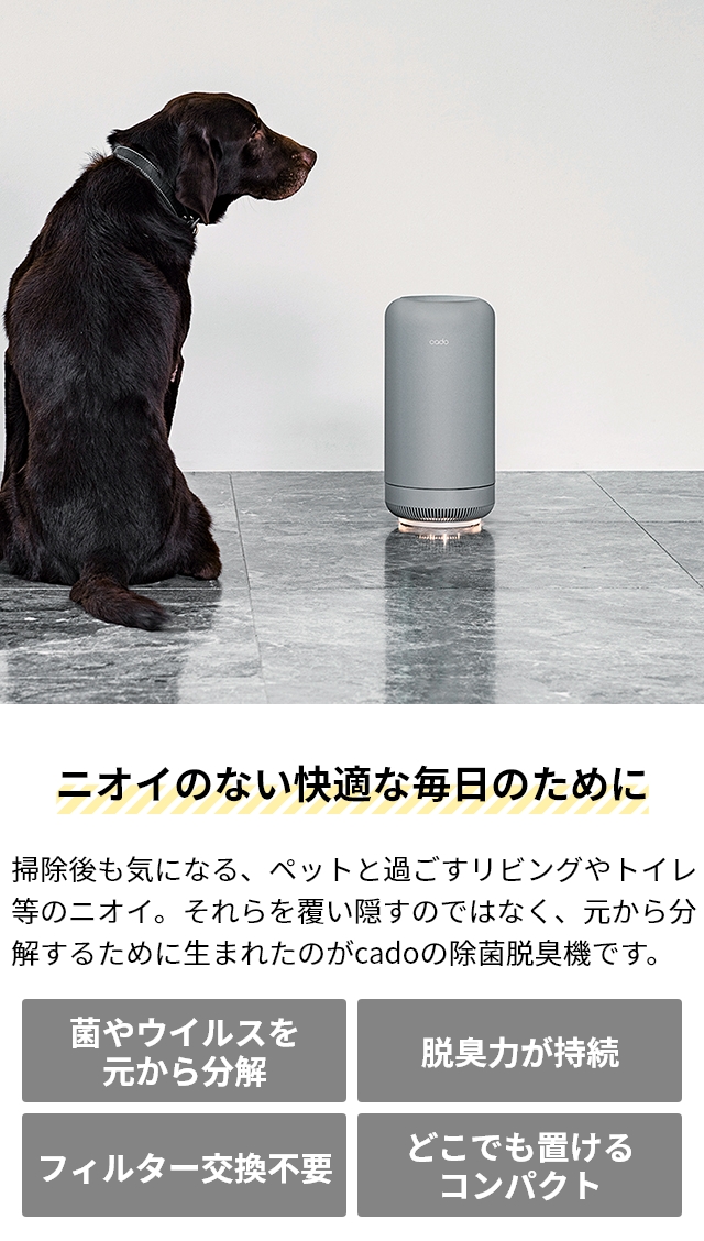 cado（カドー） 選べる豪華特典 オゾン脱臭機 除菌脱臭機 SAP-003 脱臭