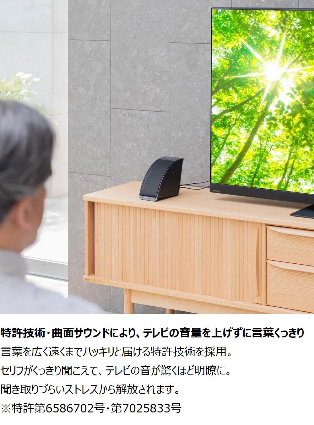dinos（ディノス） テレビスピーカー テレビ用 音 音量 小型 高齢者