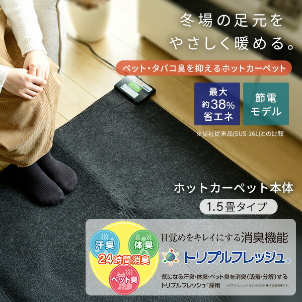ホットカーペット 1.5畳 空気をキレイにする 本体 ラグサイズ 小さく