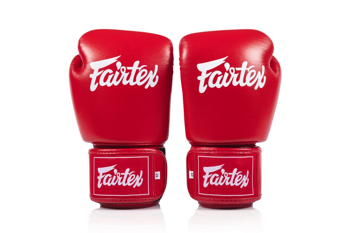 Fairtex フェアテックス ボクシンググローブ BGV1C-PLUS ムエタイ