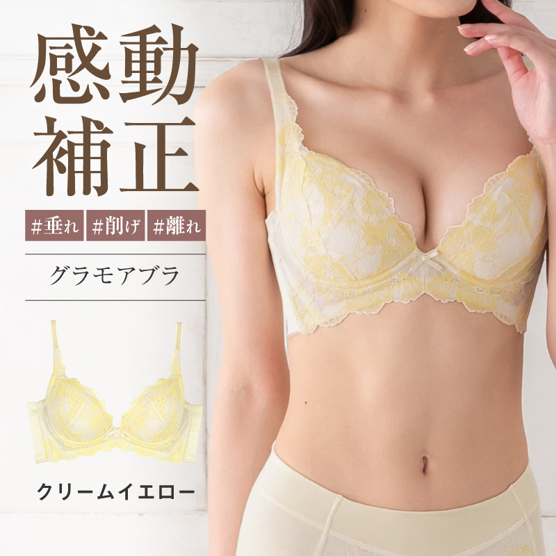 グラモアブラのおすすめ人気商品一覧 通販 - Yahoo!ショッピング