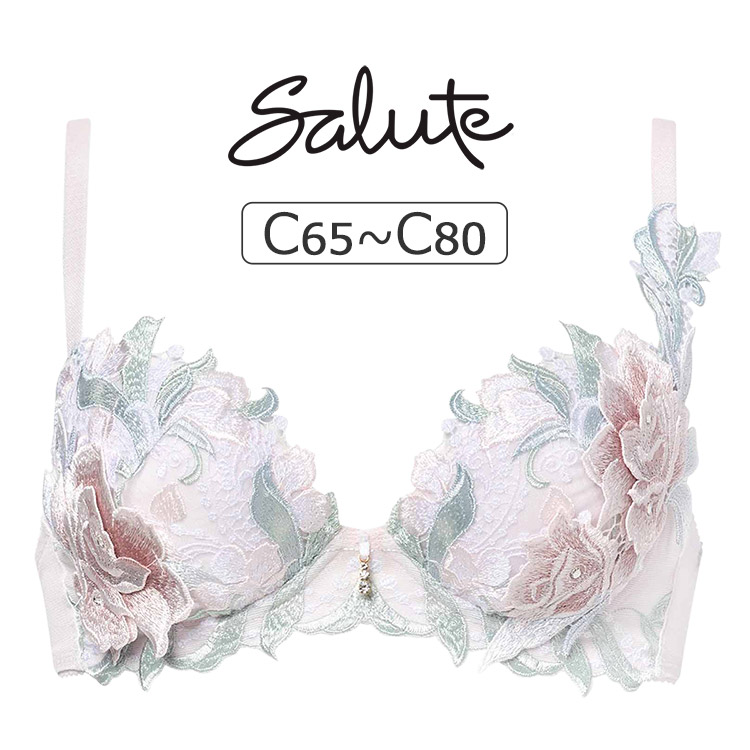 サルート（SALUTE） ワコール 22グループ 22G ブラジャー単品 P-up