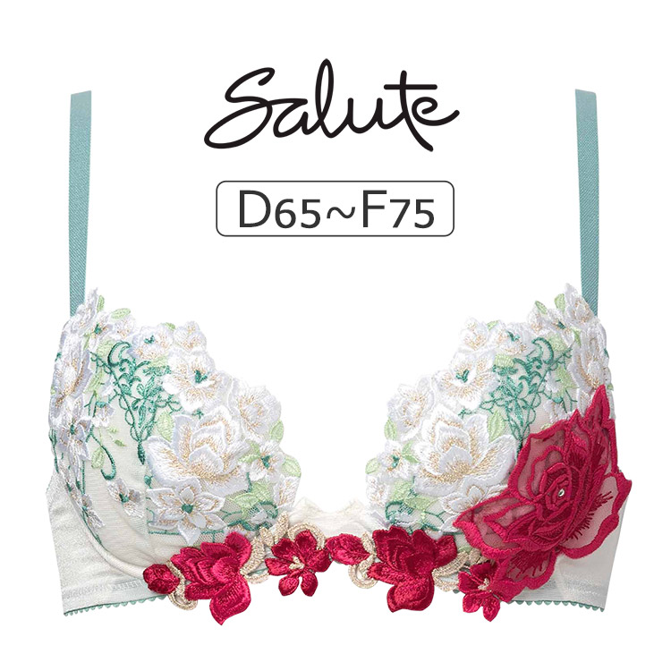 サルート（SALUTE） ワコール 16グループ 16G ブラジャー単品 フロント