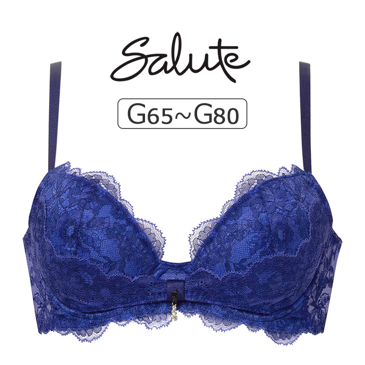 サルート（SALUTE） 【カラー別価格あり】ワコール 20グループ 20G