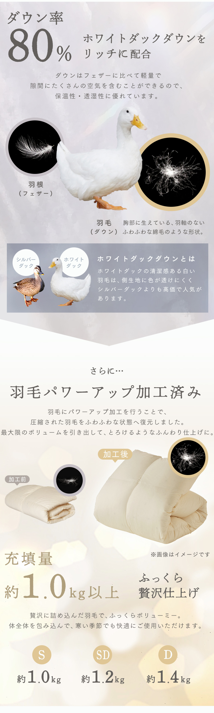 羽毛布団 シングルロング WDD80% 300dp 1.0kg アイボリー