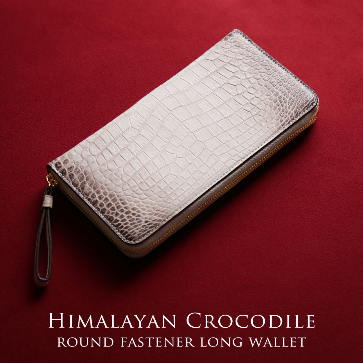 sankyo shokai（三京商会） ［期間限定価格］ヒマラヤ クロコダイル 長